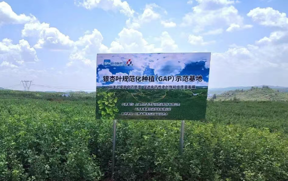 ScreenShot_2025-11-26_195854_360.png ScreenShot_2025-11-26_195854_360.png