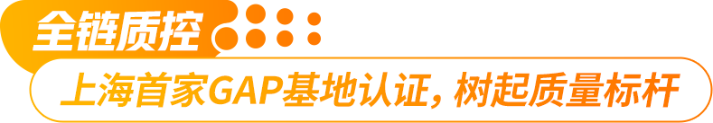 640 (1).png
