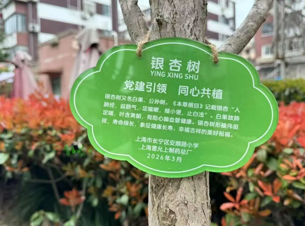 6.png 6.png